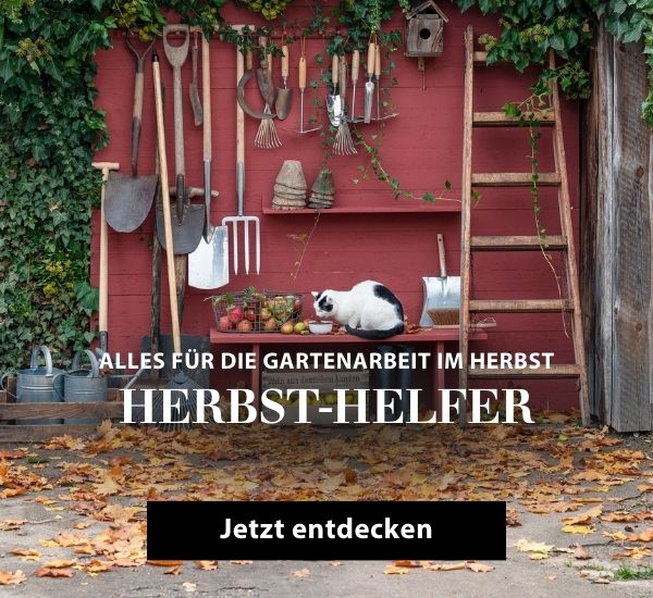 Gartenarbeit im Herbst