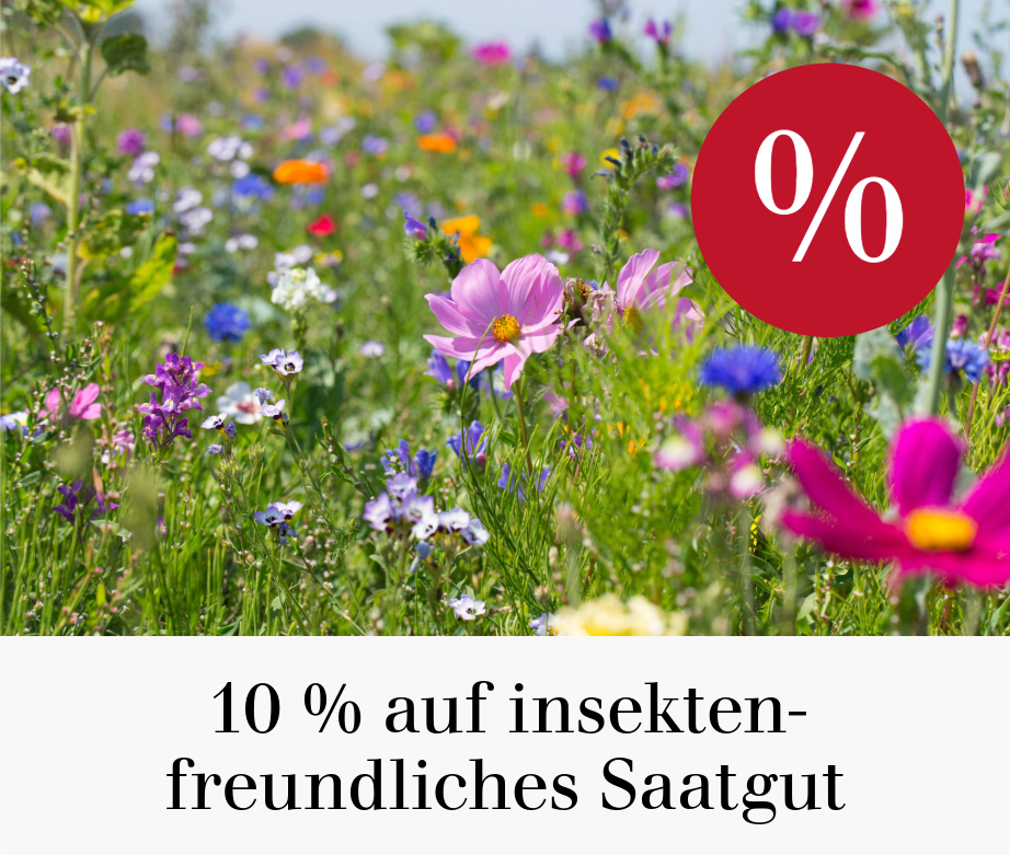10 % auf insektenfreundliches Saatgut