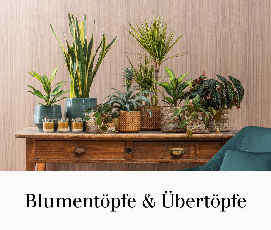 Blumentöpfe & Übertöpfe