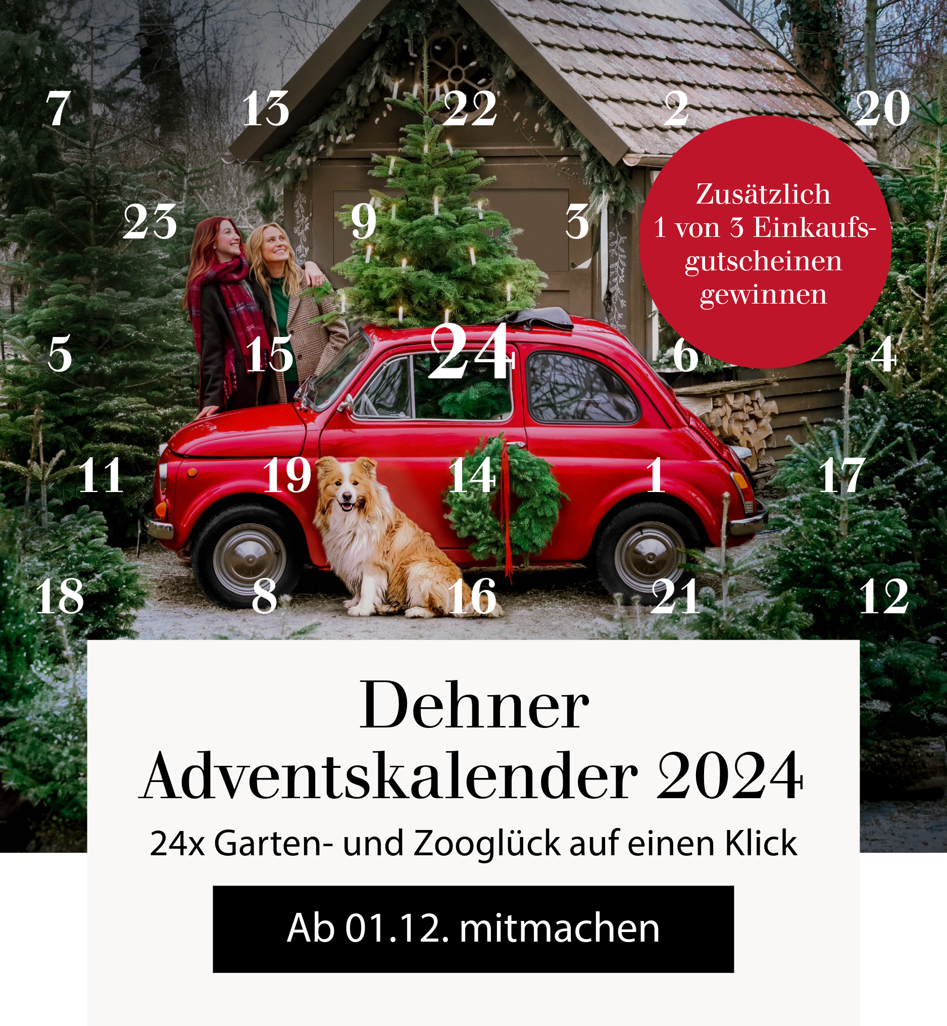 Dehner Adventskalender - online ab 01.12. entdecken