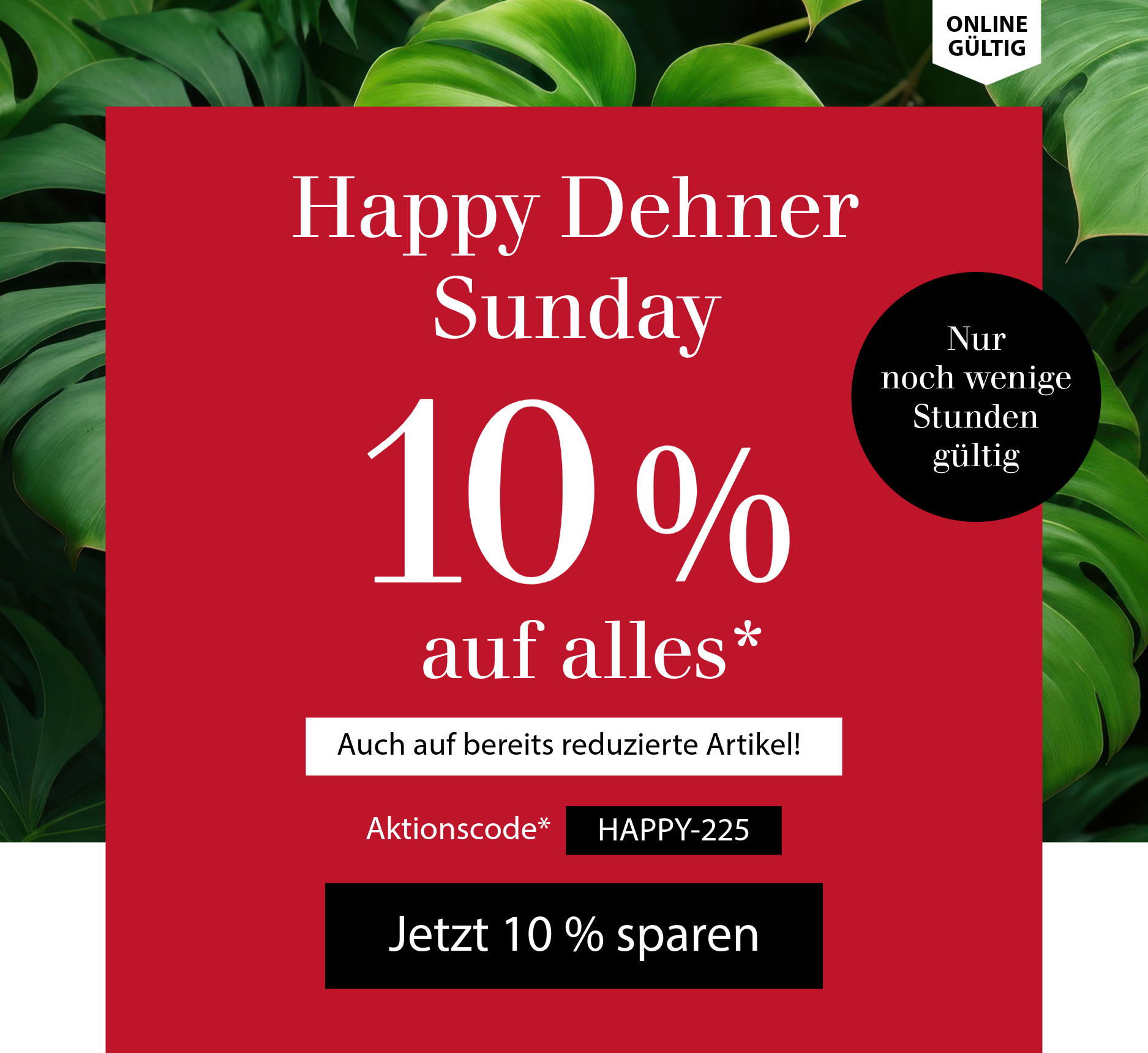 Nur noch wenige Stunden - 10 % auf ALLES - Happy Dehner Sunday