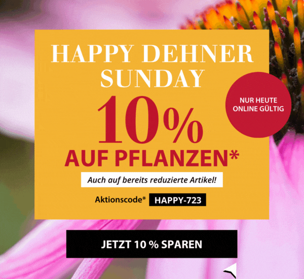 Happy Dehner Sunday: 10% Vorteil auf Pflanzen