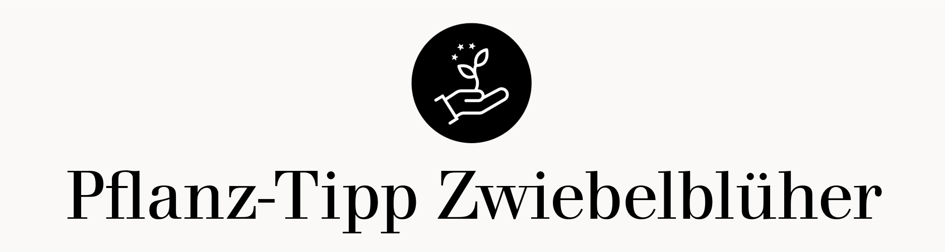 Pflanztipp Zwiebelblüher