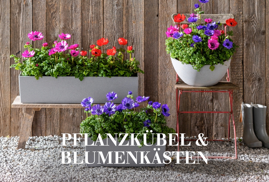 Pflanzkübel & Blumenkästen