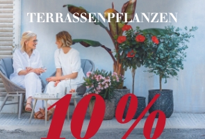 Terrassenpflanzen