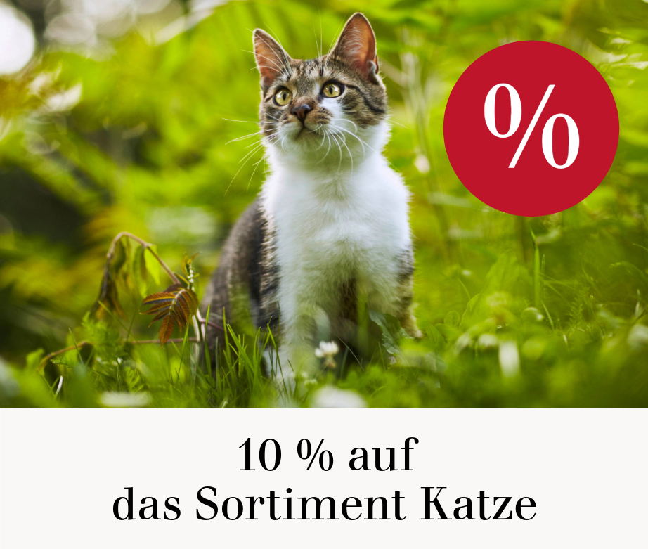 10 % auf das Sortiment Katze 