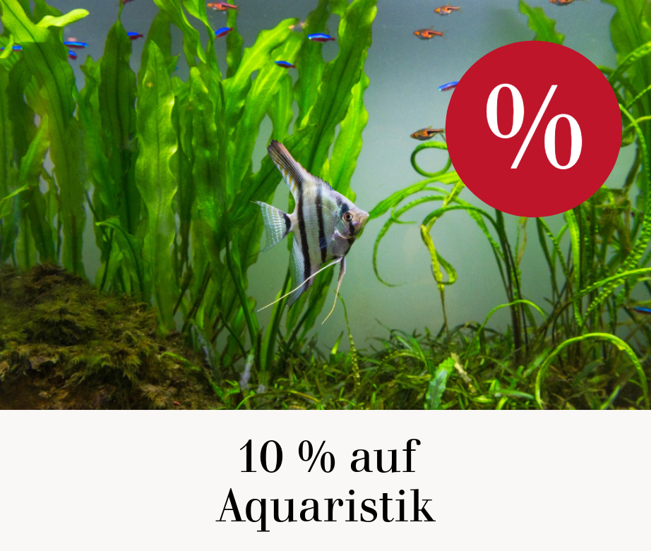 10 % auf Aquaristik