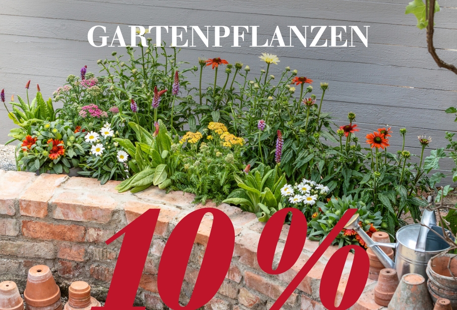 10 % auf Gartenpflanzen