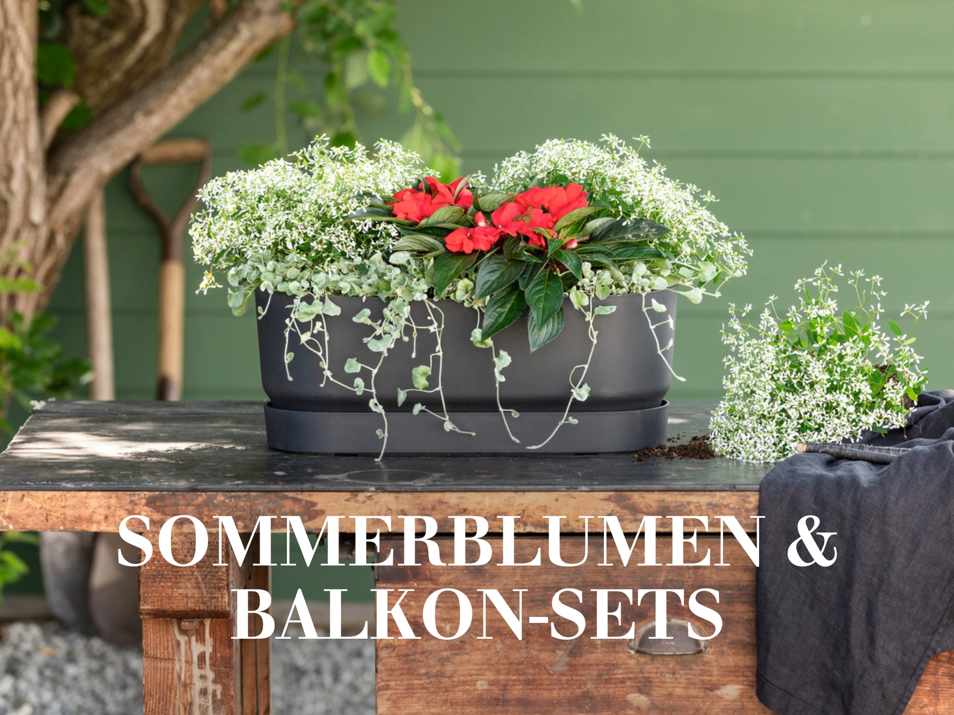 Sommerblumen & Balkon-Sets