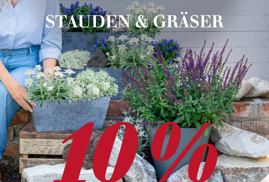 10 % auf Stauden & Gräser