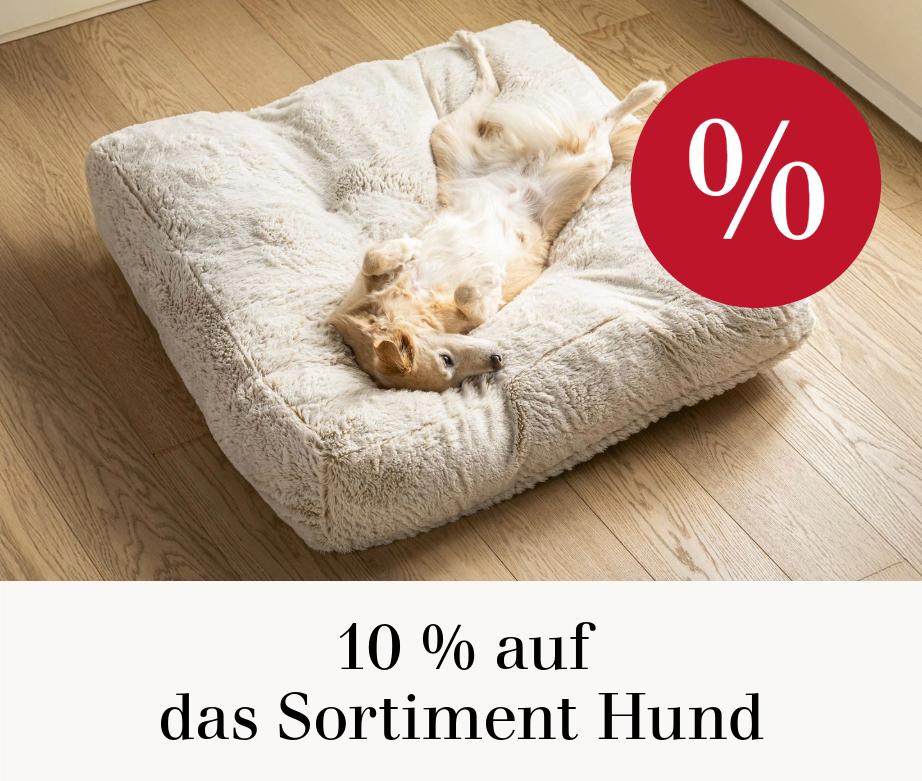 10 % auf das Sortiment Hund 