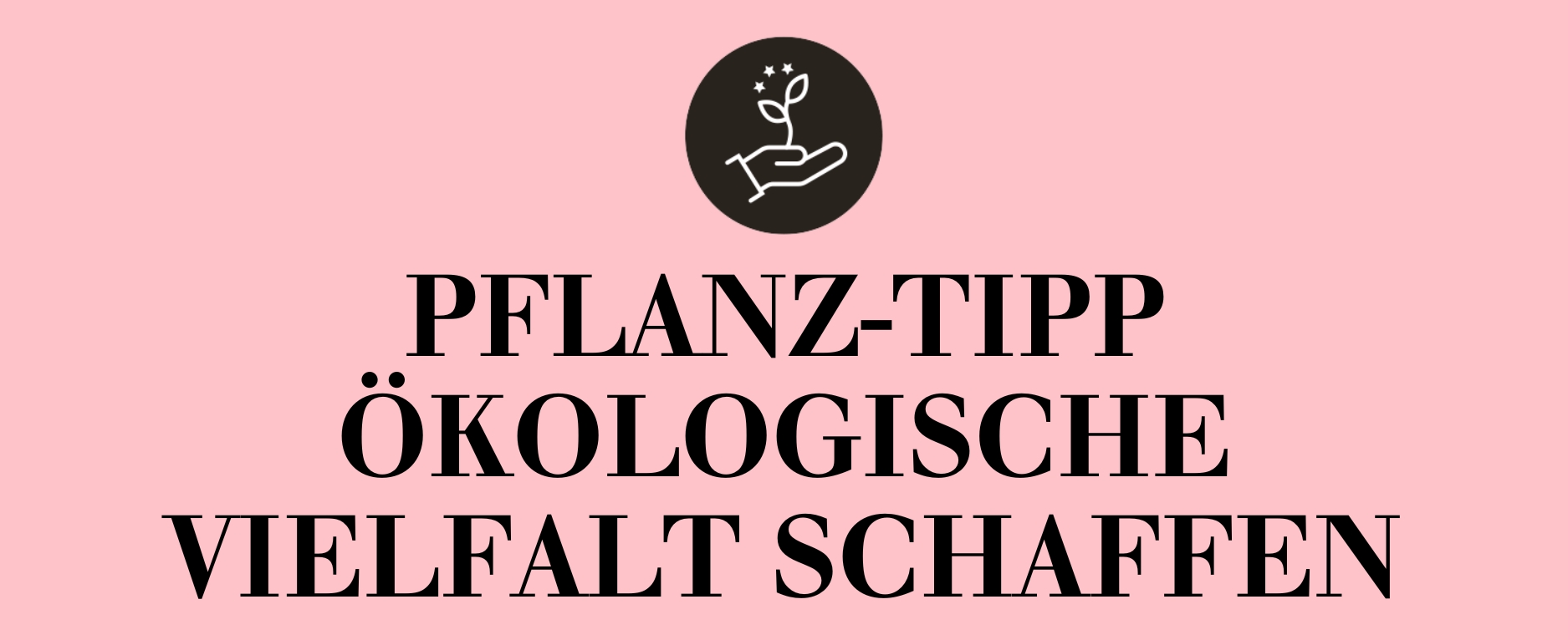 Pflanztipp Ökologische Vielfalt schaffen