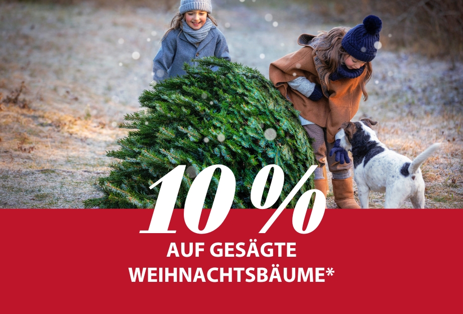 10 % auf gesägte Weihnachtsbäume