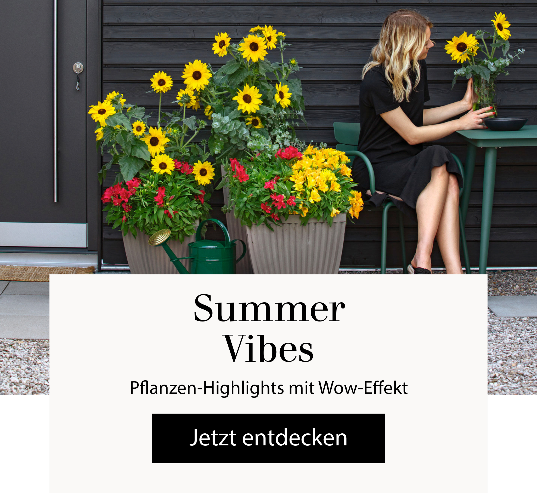 Summer Vibes - Pflanzen-Highlights mit Wow-Effekt