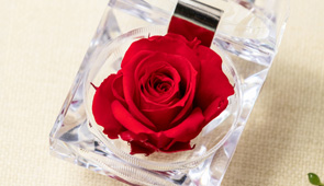 Konservierte Rosen