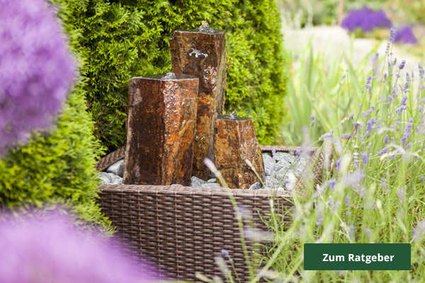Ratgeber Wasser im Garten