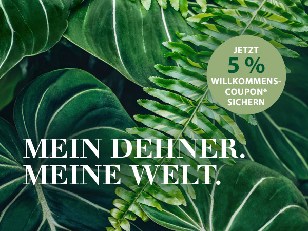 Zimmerpflanze des Monats