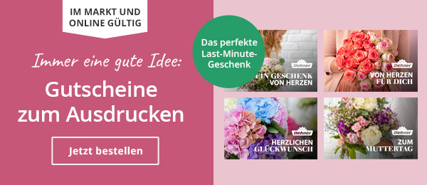 Gutscheine zum Ausdrucken