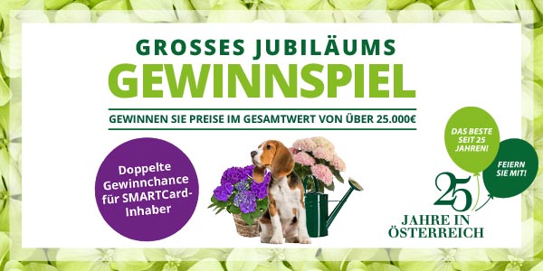 Jubiläums Gewinnspiel