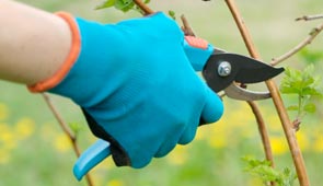 Gartenwerkzeuge