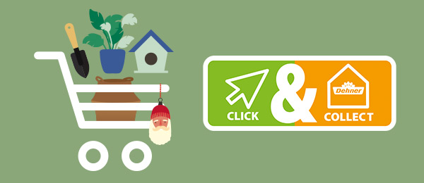 Click & Collect