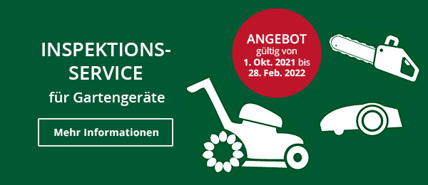Inspektionsservice