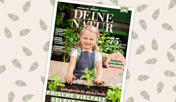 Dehner Magazin
