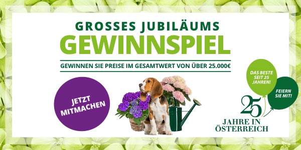 Jubiläums Gewinnspiel