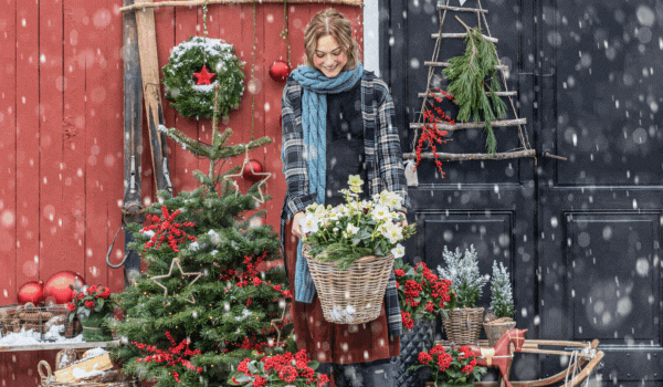 Gartenweihnacht