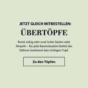 Gleich mitbestellen: Übertöpfe