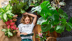 Monstera & Calathea