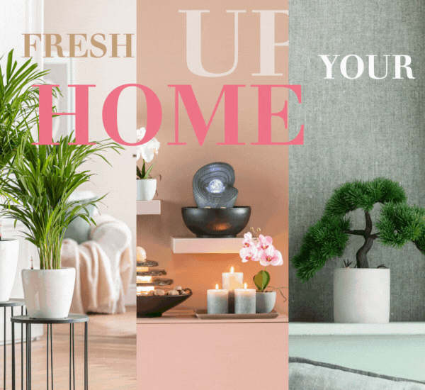 Fresh up your home