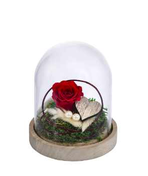 Longlife Rose Emil