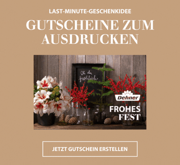 Last-Minute-Geschenkidee: Gutscheine zum Ausdrucken