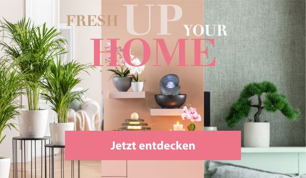 Fresh up your Home: Zimmerbunnen, Solitärpflanzen und Kunstpflanzen