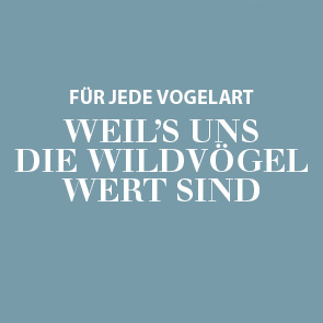 Wildvogelfutter
