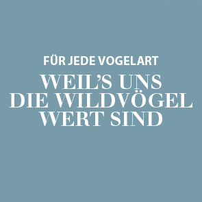 Wildvogelfutter