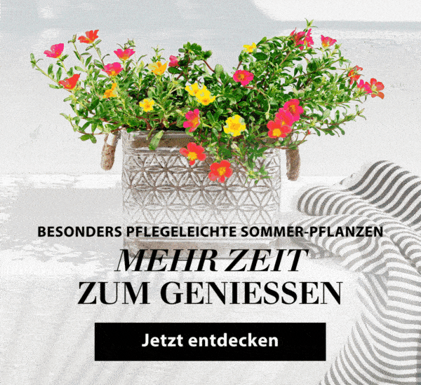 Mediterraner Garten