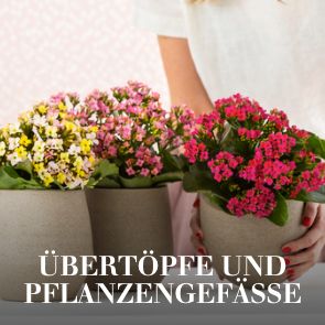 Übertöpfe und Pflanzgefässe