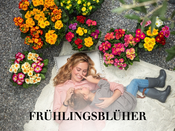 Frühlingsblüher