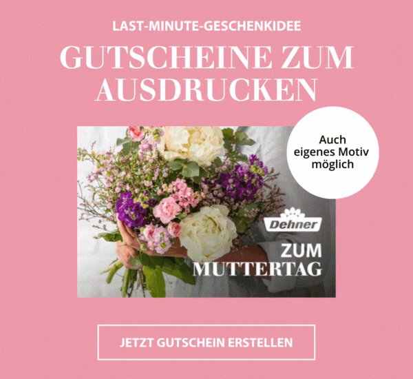 Jetzt Gutschein erstellen