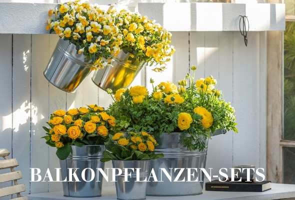 Balkonpflanzen-Sets
