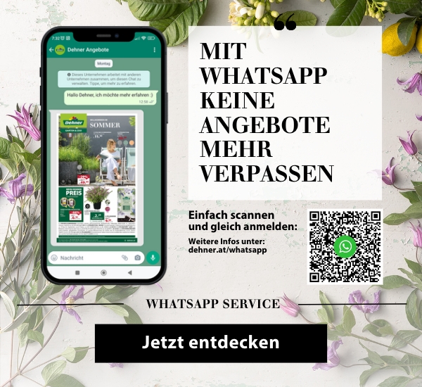 Mit Whatsapp keine Angebote mehr verpassen
