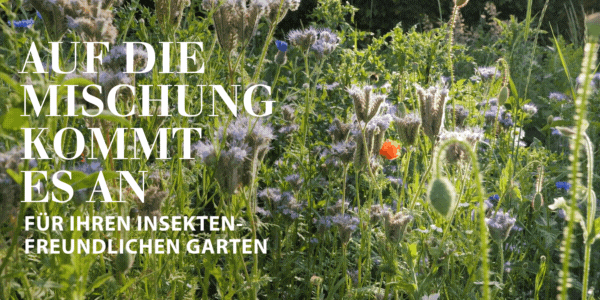 Blumenzwiebelmischungen für insektenfreundliche Gärten
