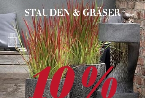 Stauden & Gräser
