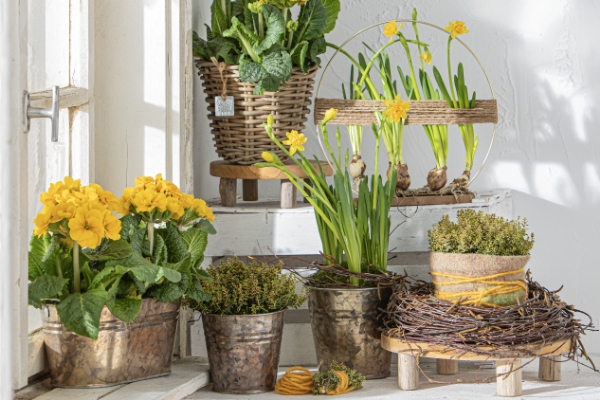Home & Trends