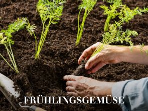 Frühlingsgemüse