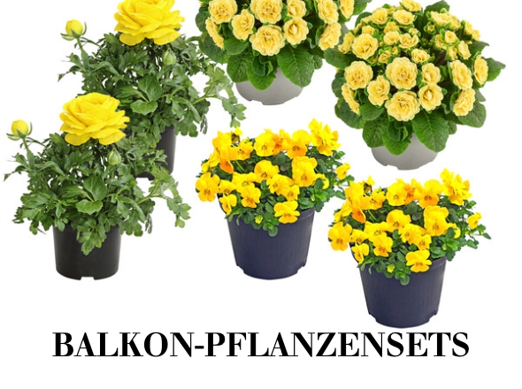 Balkonpflanzen-Sets