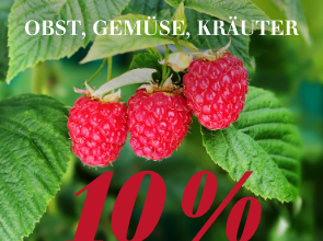 Obst, Gemüse & Kräuter