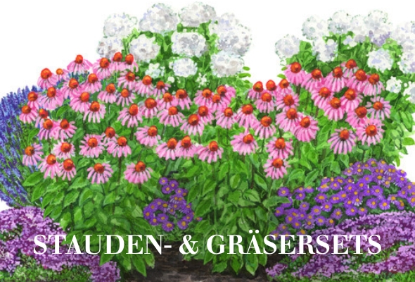 Stauden & Gräsersets